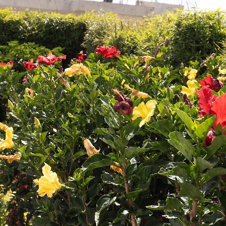 Hospedaje El Girasol Tababela กีโต ภายนอก รูปภาพ